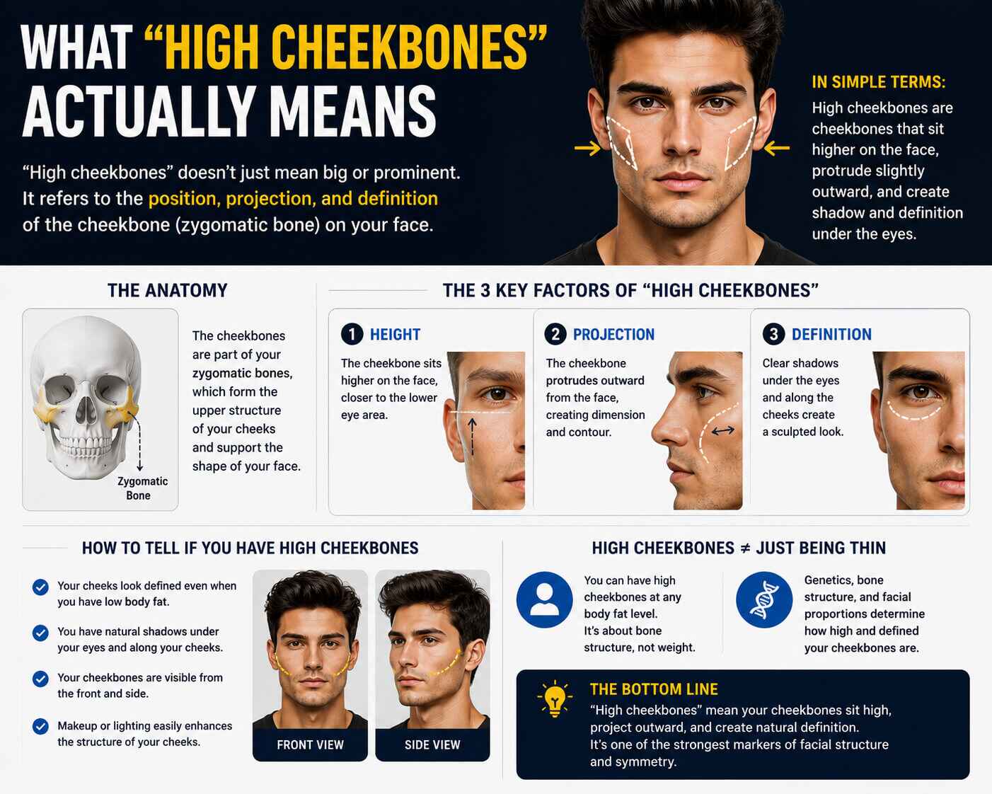 Receding Cheekbones What Face Shape Has High Cheekbones? - Oblong Face Shape