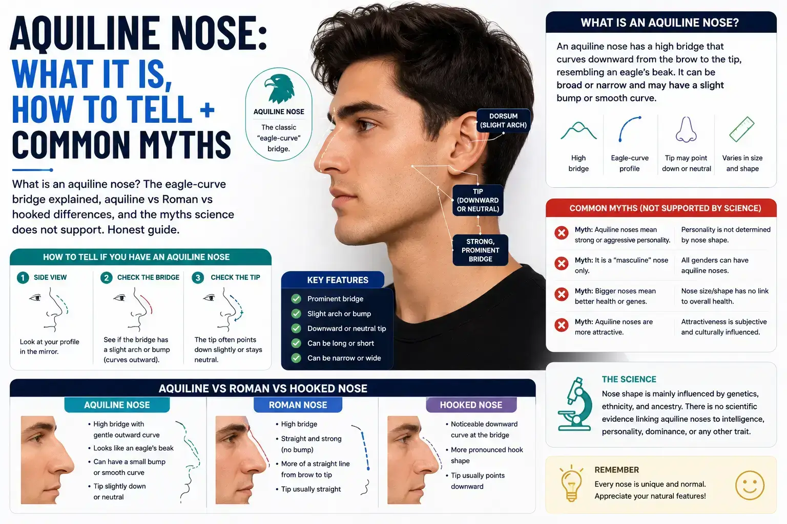 Aquiline Nose- What It Is, How to Tell + Common Myths