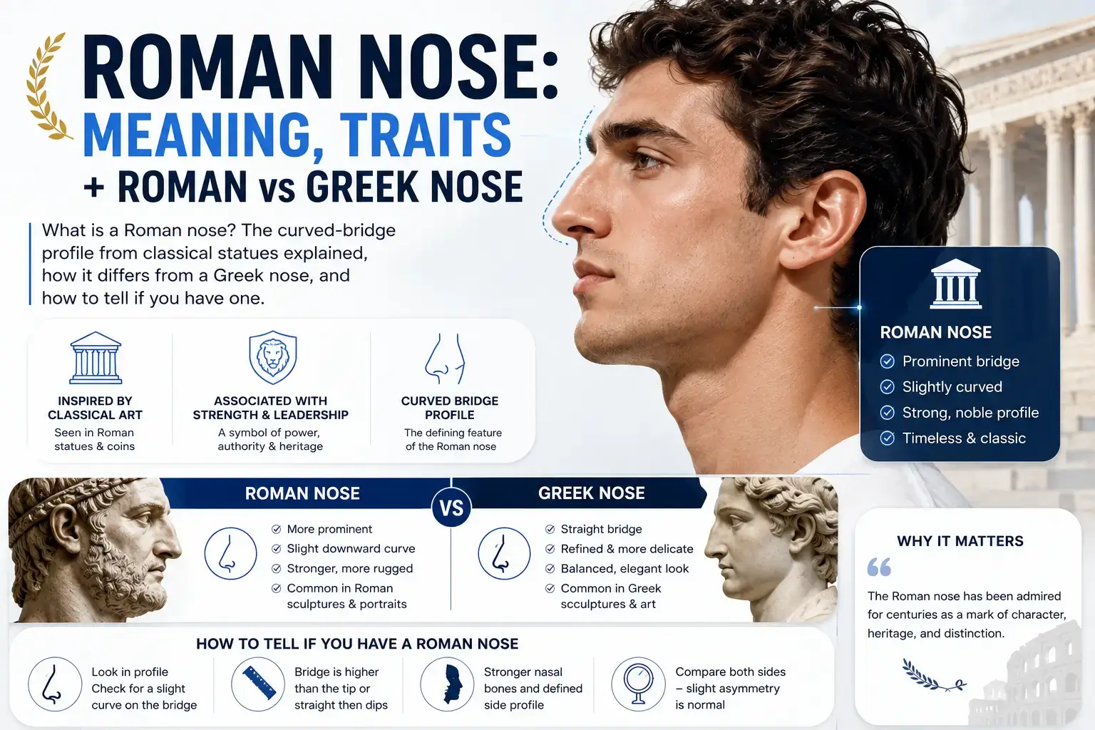 Roman Nose: Meaning, Traits + Roman vs Greek Nose
